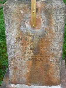 Polish Catholic cemetery in Smolensk - 34