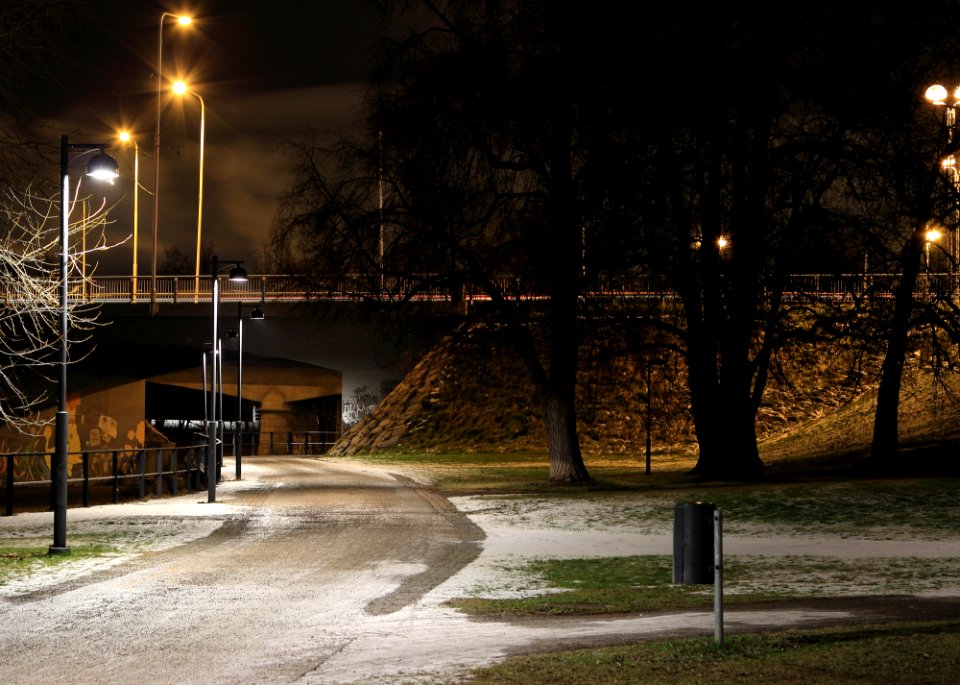 Pokkisenpuisto Oulu 20141213