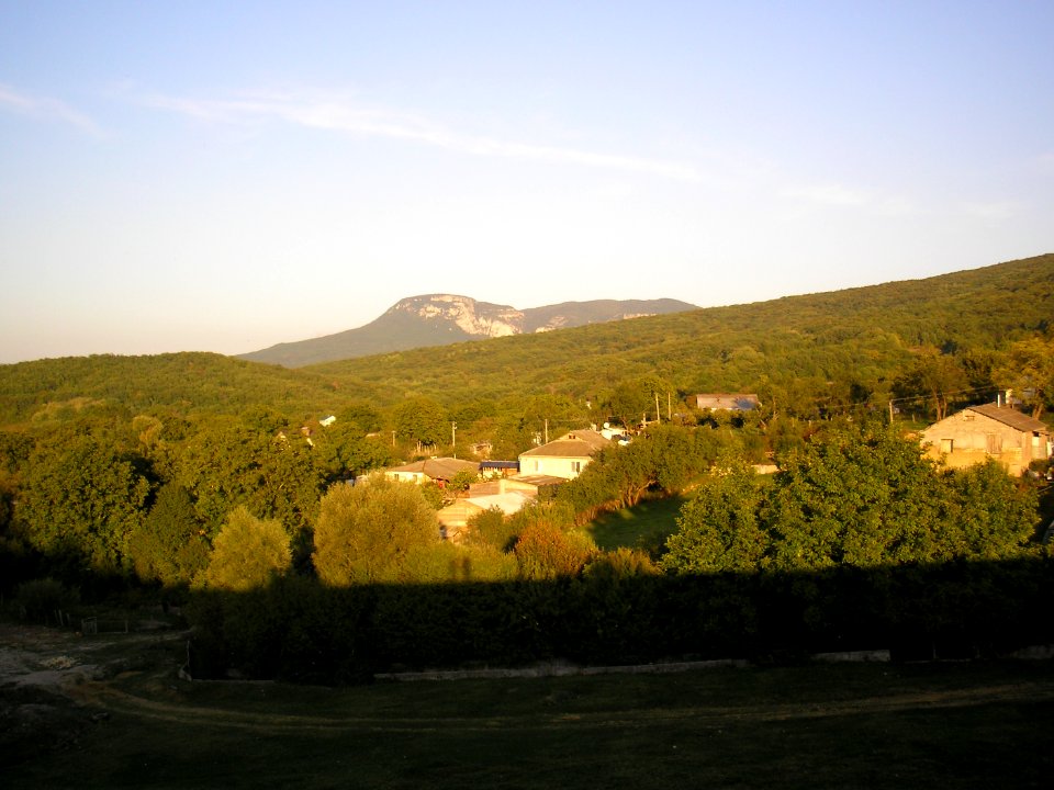 Polyana 7