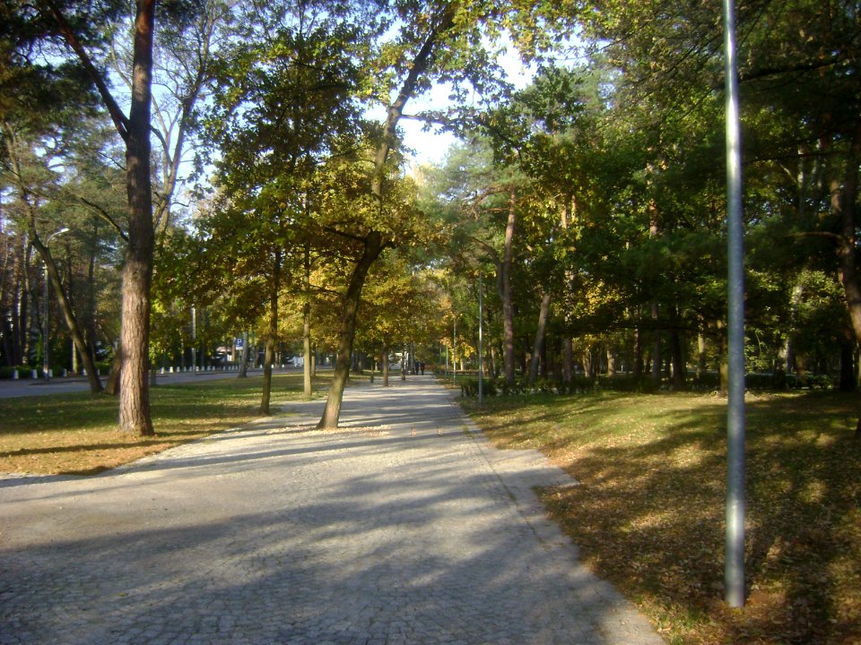 Poland. Konstancin-Jeziorna. Park 032