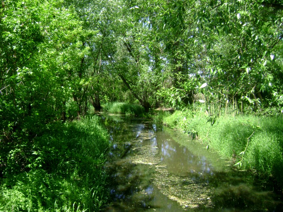 Poland. Gmina Konstancin-Jeziorna. Obórki 001