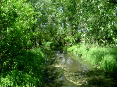 Poland. Gmina Konstancin-Jeziorna. Obórki 001