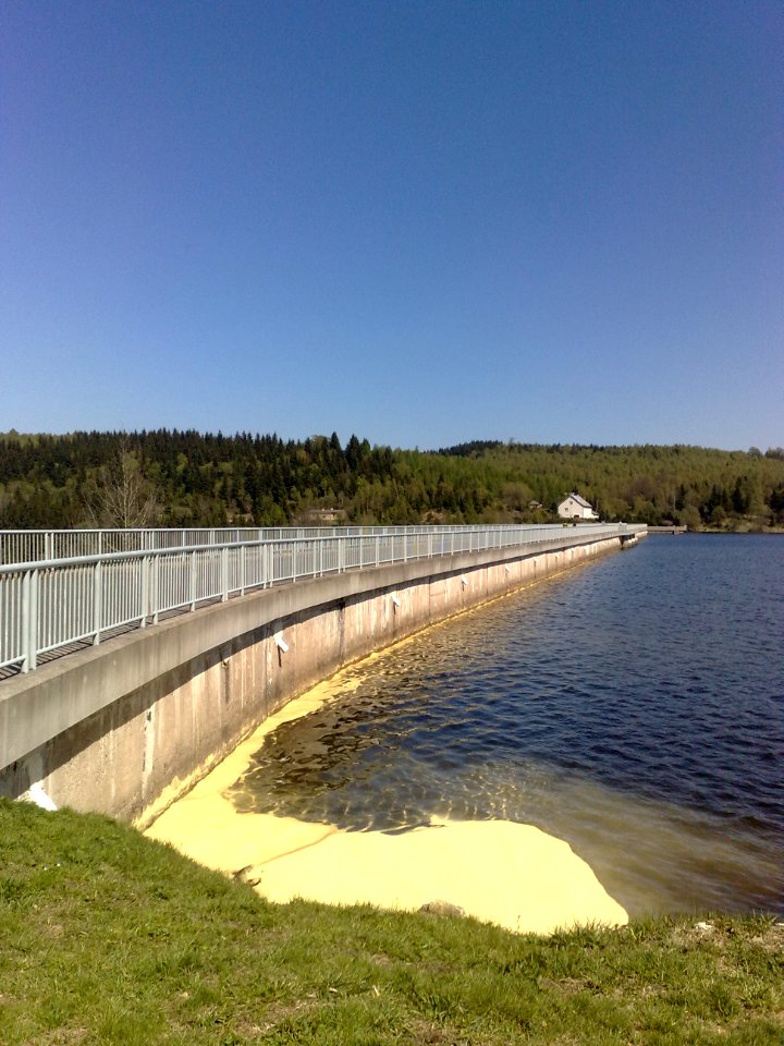 Pollen - Pyl - Flaje 6