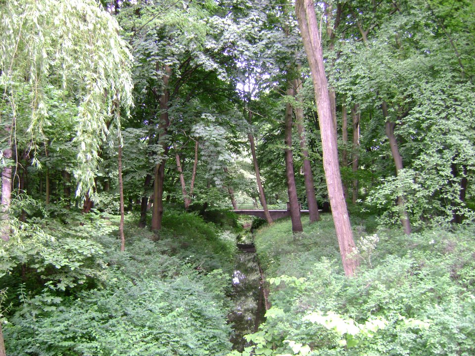 Poland. Warsaw. Śródmieście. Royal Baths Park 057