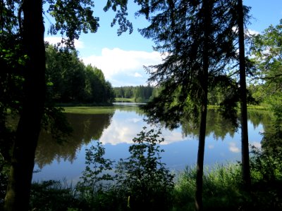 Pollinger Weiher