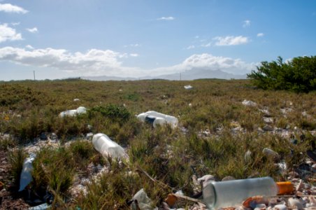 Pollution in National Park Laguna de la Restinga