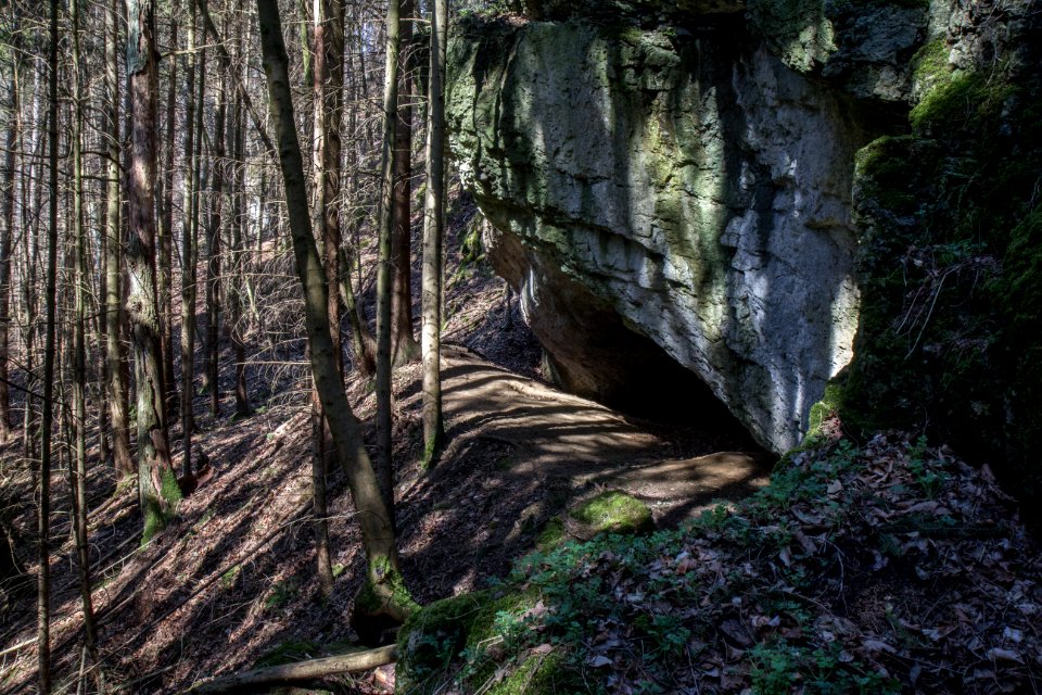 Polsterhöhle (C 25) bei Draisendorf 01