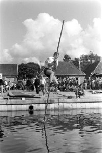 Polsstokverspringen, Bestanddeelnr 921-6017