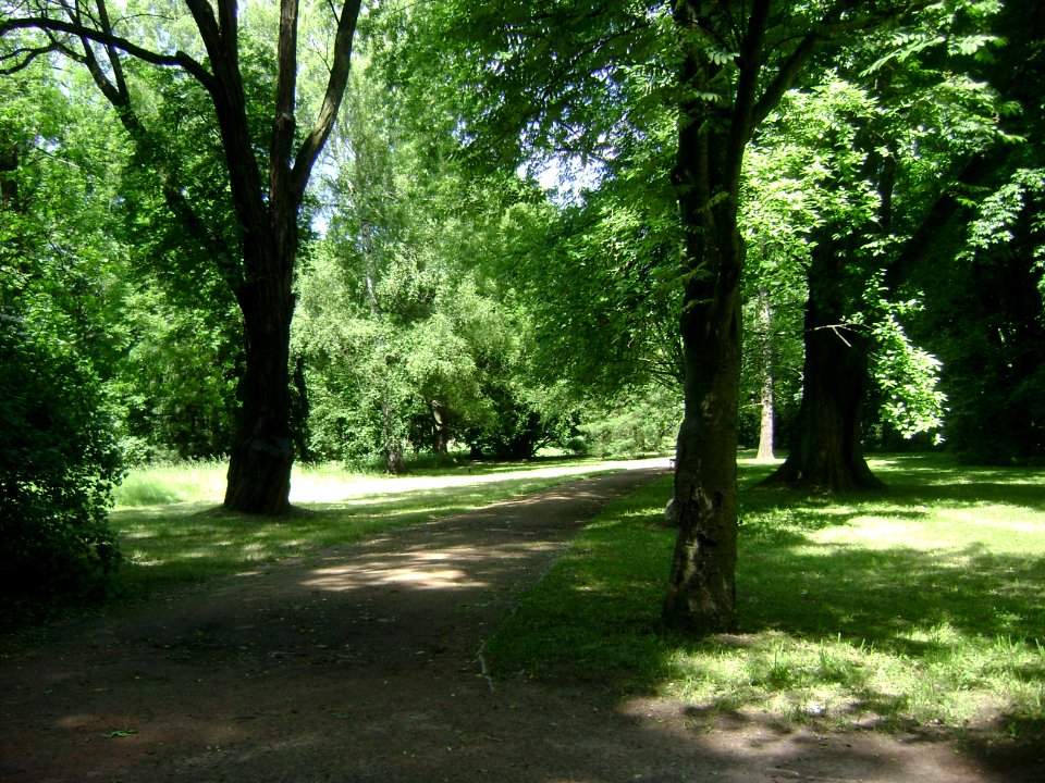 Poland. Warsaw. Śródmieście. Royal Baths Park 018