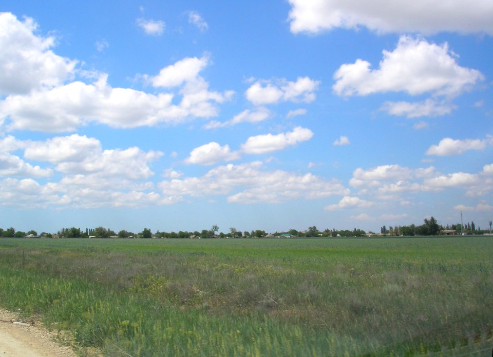 PoltavskoeCr 4