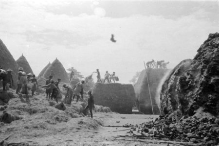 Politioneel optreden. Krawang-sector 23-7-1947. Bij hun vertrek uit Poerwakarta,, Bestanddeelnr 273-3-5
