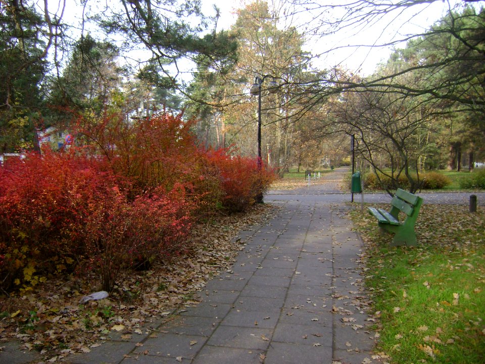 Poland. Konstancin-Jeziorna 243