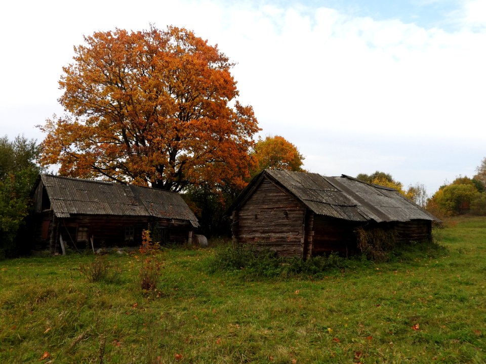 Poltaraŭščyna, Belarus 5