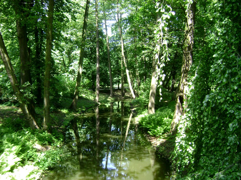 Poland. Warsaw. Śródmieście. Royal Baths Park 023