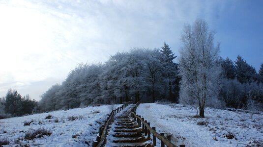 Walking path trap ice photo