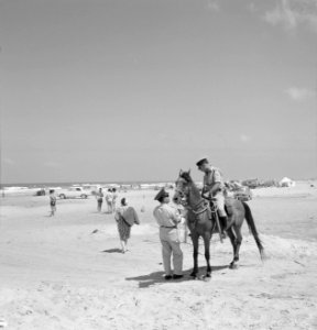 Politieman te paard met collega en badgasten aan het strand, Bestanddeelnr 255-2914