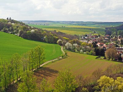 Sky nature green