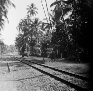 Politioneel optreden. Semarang 29 juli 1947. Door de velden trekken de mannen op, Bestanddeelnr 1640
