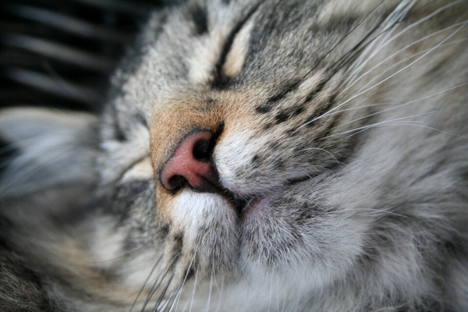 Mieze sweet feel good