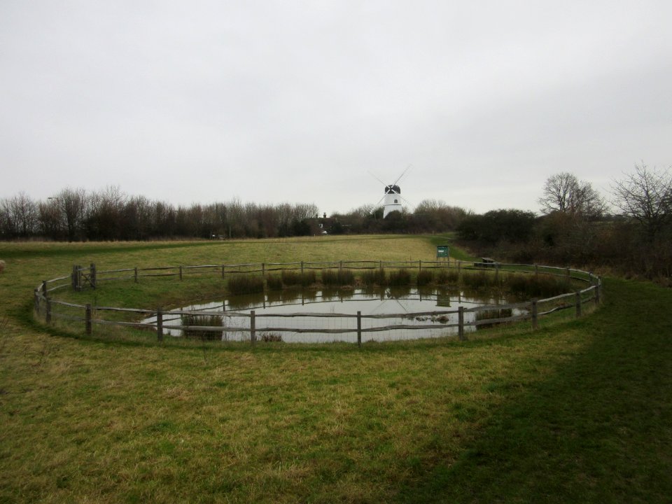 Pond on Open Land between Dyke Road and Patcham Windmill, Westdene, Brighton (December 2016)