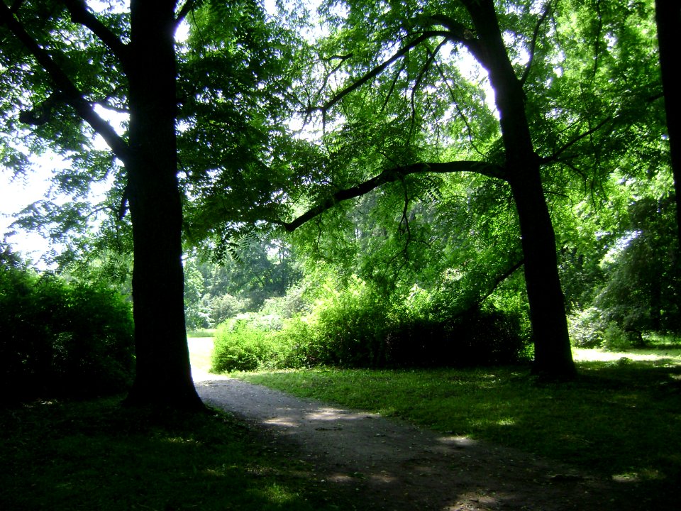 Poland. Warsaw. Śródmieście. Royal Baths Park 005