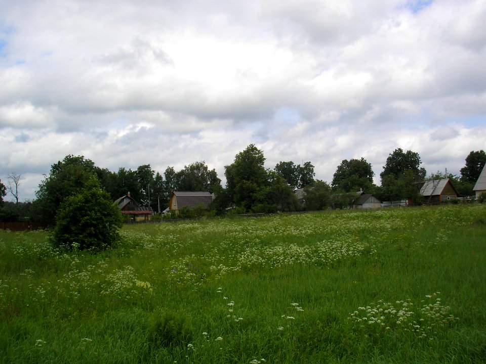 Pokoevo 6