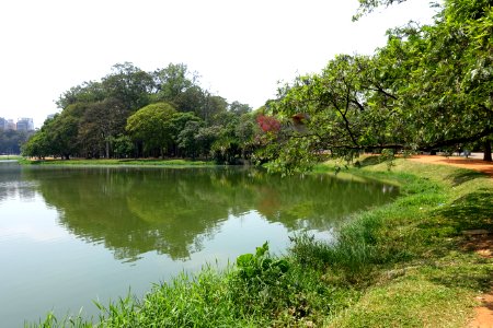 Pond in Ibirapuera Park - Sao Paulo, Brazil - DSC07453