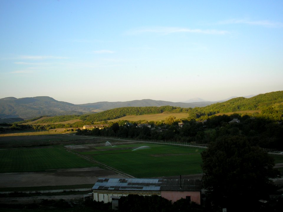 Polyana 9