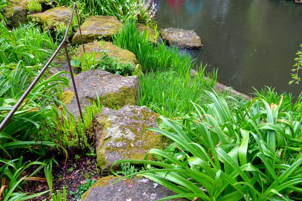 Pond pathway - Torrecchia Vecchia - Cisterna di Latina, Italy - DSC03359