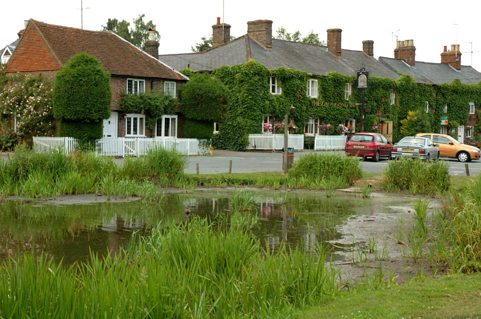 Pond-Aldbury-20060629-021