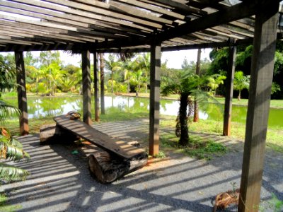 Pond pavillion - Jardim Botânico de Brasília - DSC09766