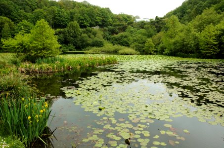 Pond-gardens-Brest-20060526-005