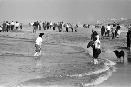Pootje baden in zee, in de herfst, Bestanddeelnr 929-9371