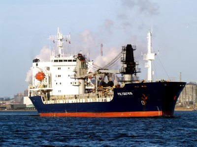 Polydefkis IMO 8116984 IJmuiden, Port of Amsterdam p2 24January2009