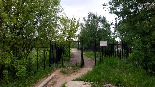 Popovsky pond 2