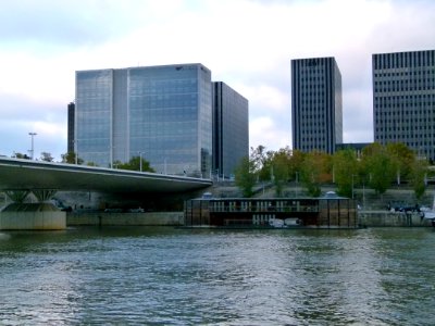 Pont Charles de Gaulle vu de loin 2