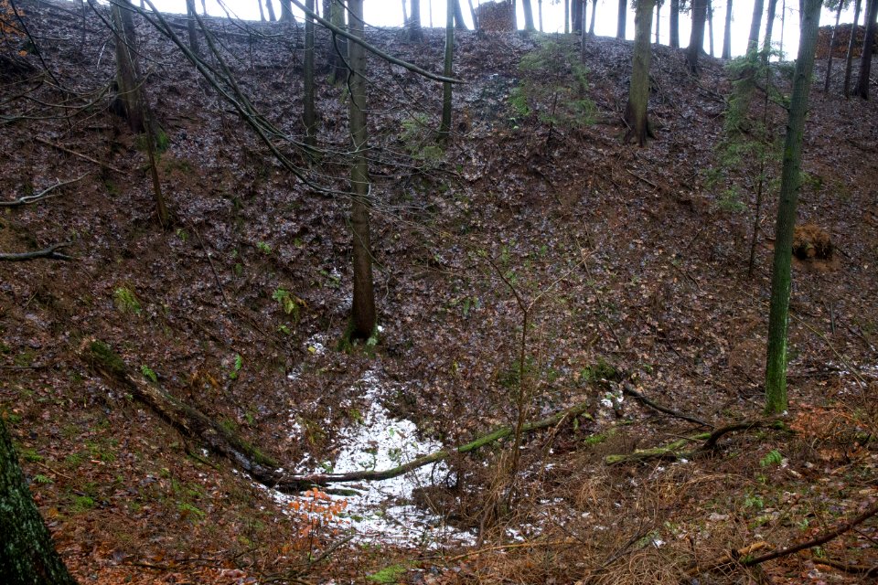 Ponordoline im Igelseeholz 002