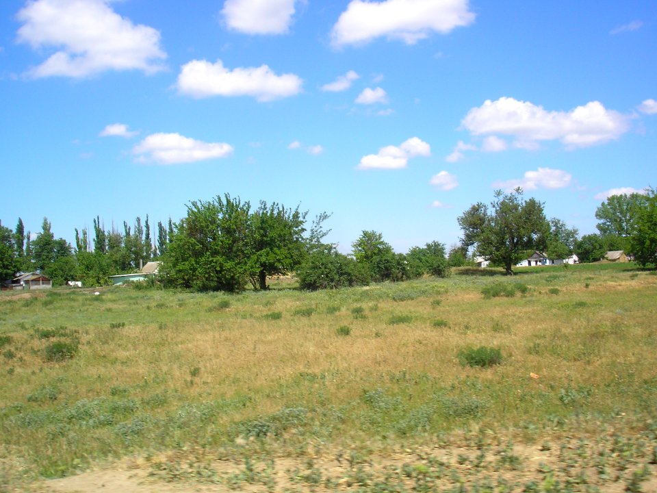 PoltavskoeCr 11