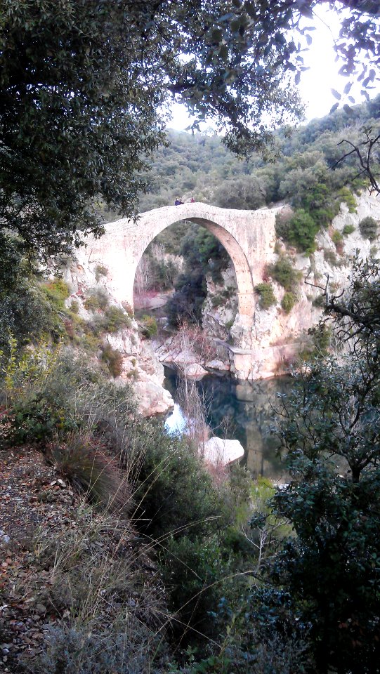 Pont de Llierca 20140103 006
