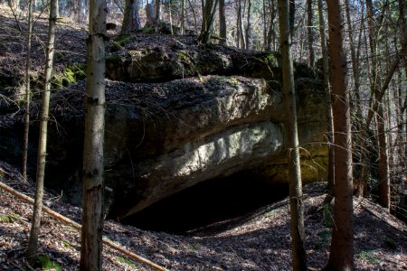 Polsterhöhle (C 25) bei Draisendorf 03