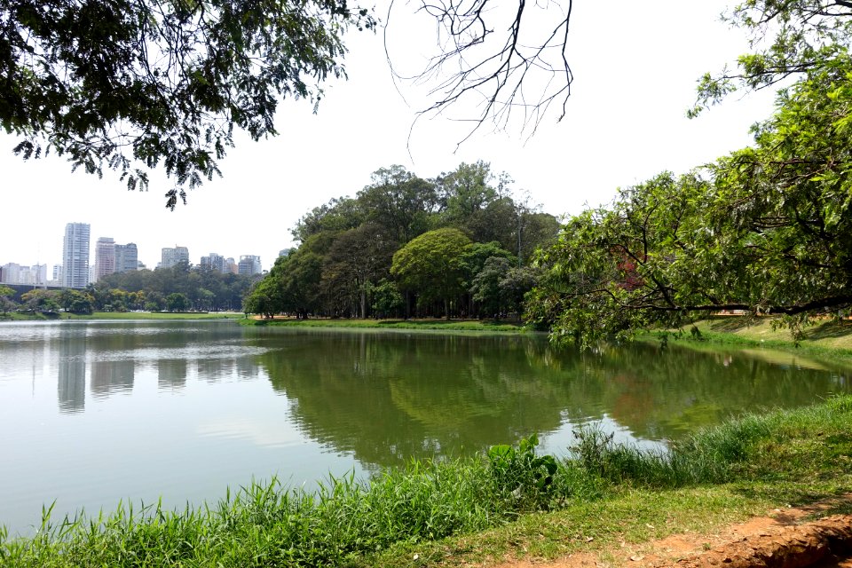 Pond in Ibirapuera Park - Sao Paulo, Brazil - DSC07449