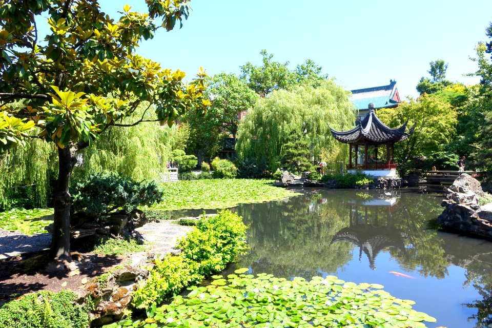 Pond with pavilion - Dr. Sun Yat-Sen Park - Vancouver, Canada - DSC09842