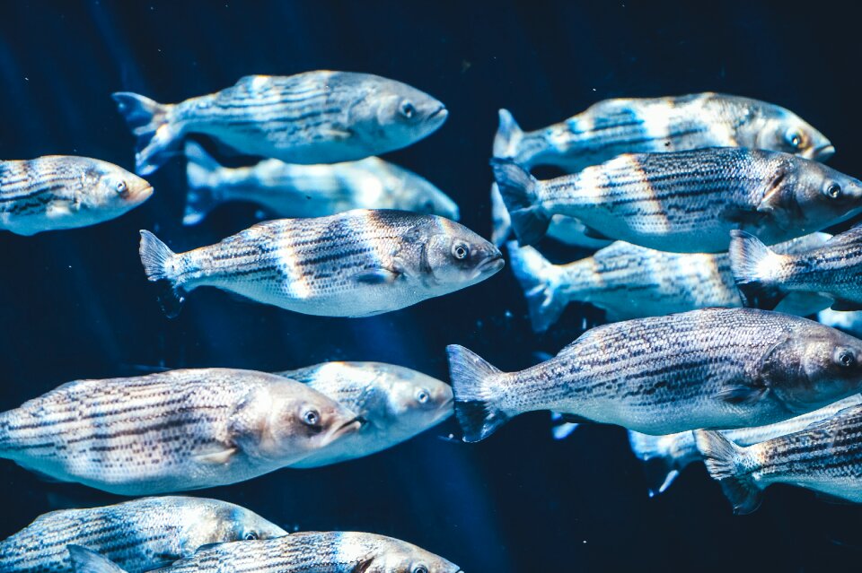 Underwater close-up water