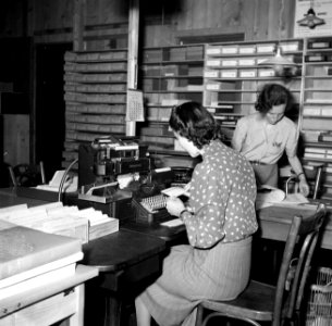 Ponstypiste aan het werk, Bestanddeelnr 254-2227