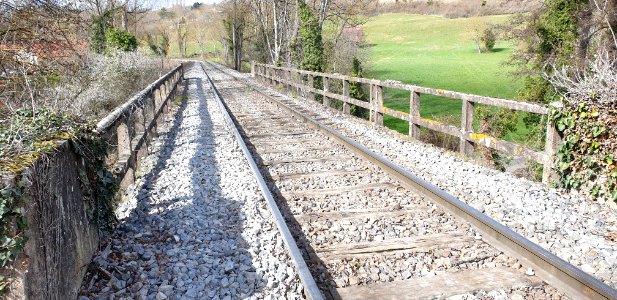 Pont ferroviaire sur le Jolan, Cusset