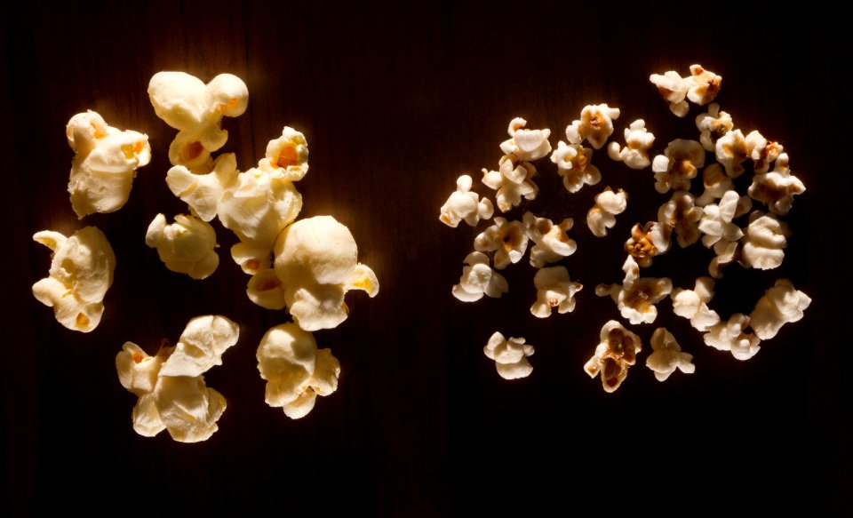 Popcorn and pop sorghum