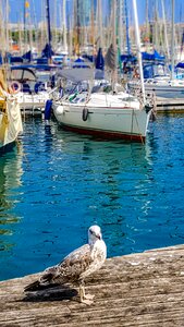 Boats masts mediterranean