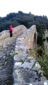 Pont de Llierca 20140103 004