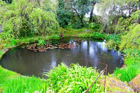 Pond - Torrecchia Vecchia - Cisterna di Latina, Italy - DSC03363