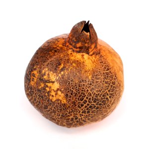 Pomegranate scab 2017 B1
